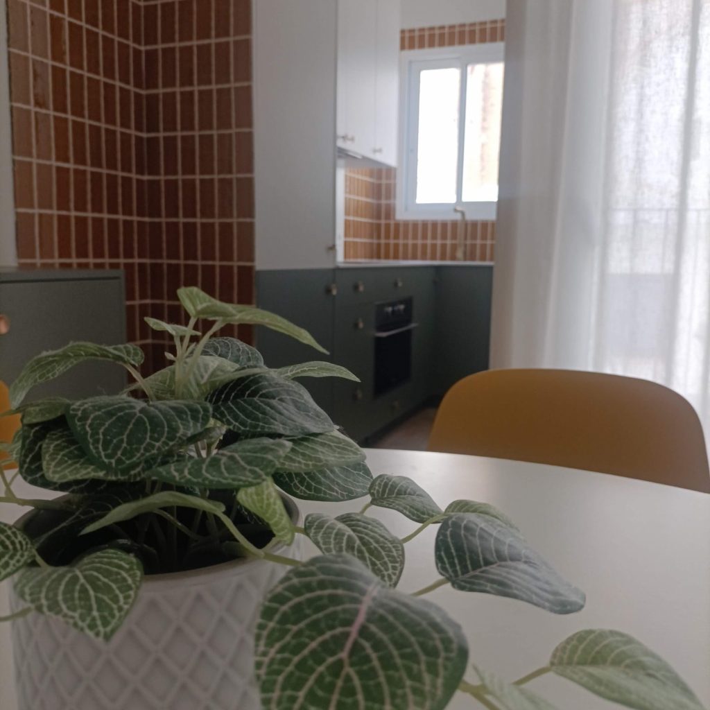 reformar casa valencia precio